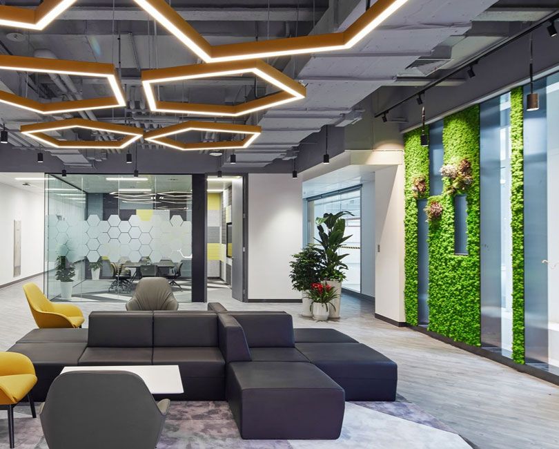 利用生物設計改善室內環境的7種方法